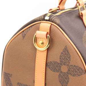 Сумка Louis Vuitton Speedy