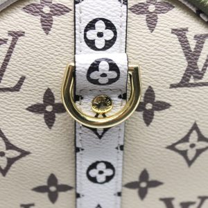 Сумка Louis Vuitton Speedy