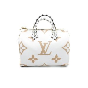 Сумка Louis Vuitton Speedy