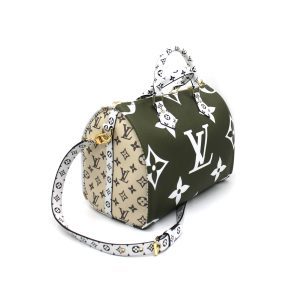 Сумка Louis Vuitton Speedy