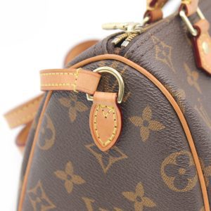 Сумка Louis Vuitton Speedy