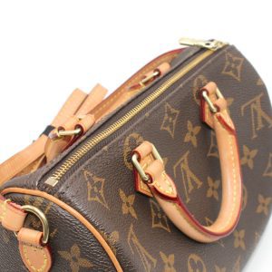 Сумка Louis Vuitton Speedy