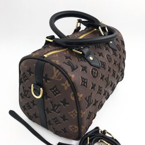 Сумка Louis Vuitton Speedy