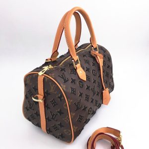 Сумка Louis Vuitton Speedy