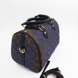 Сумка Louis Vuitton Speedy