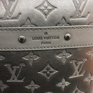 Сумка Louis Vuitton Danube