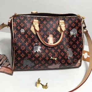 Сумка Louis Vuitton Speedy