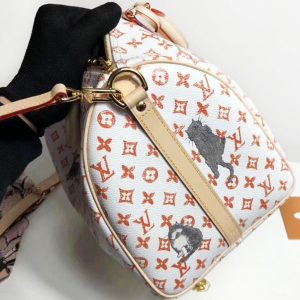 Сумка Louis Vuitton Speedy