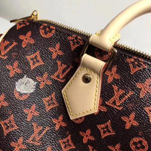 Сумка Louis Vuitton Speedy