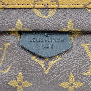 Рюкзак Louis Vuitton Palm Springs