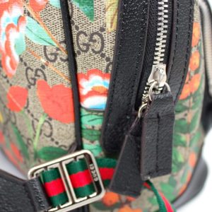 Рюкзак Gucci Ophidia