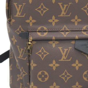 Рюкзак Louis Vuitton Palm Springs