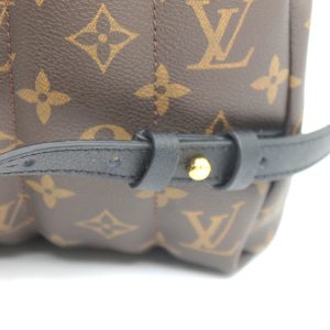 Рюкзак Louis Vuitton Palm Springs