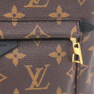 Рюкзак Louis Vuitton Palm Springs