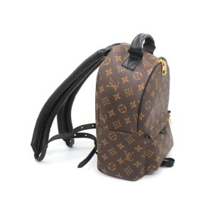 Рюкзак Louis Vuitton Palm Springs