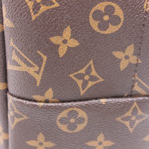 Рюкзак Louis Vuitton Palm Springs