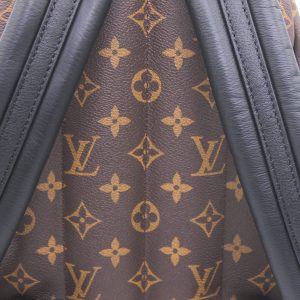 Рюкзак Louis Vuitton Palm Springs