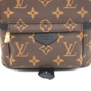 Рюкзак Louis Vuitton Palm Springs