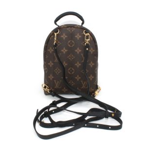 Рюкзак Louis Vuitton Palm Springs