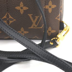 Рюкзак Louis Vuitton Palm Springs