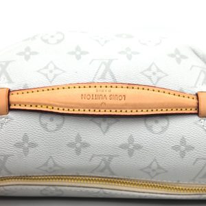 Сумка на пояс Louis Vuitton Bumbag