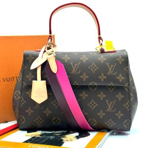 Сумка Louis Vuitton Cluny