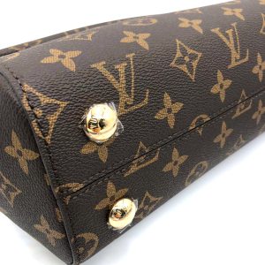 Сумка Louis Vuitton Cluny