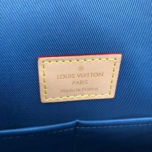 Сумка Louis Vuitton Cluny