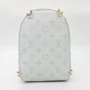 Рюкзак Louis Vuitton Palm Springs