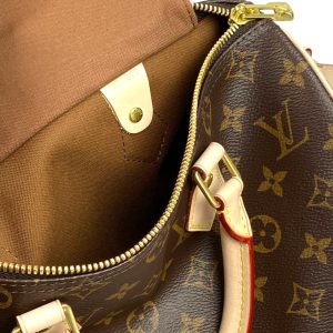 Сумка Louis Vuitton Speedy