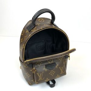 Рюкзак Louis Vuitton Palm Springs