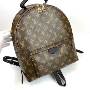 Рюкзак Louis Vuitton Palm Springs