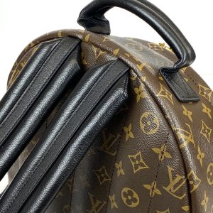 Рюкзак Louis Vuitton Palm Springs