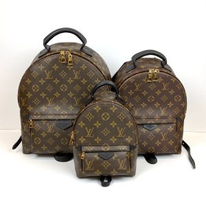 Рюкзак Louis Vuitton Palm Springs