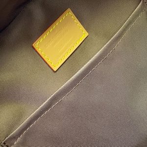 Рюкзак Louis Vuitton Soft Trunk