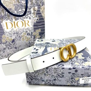 Ремень Dior Saddle