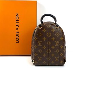 Рюкзак Louis Vuitton Palm Springs