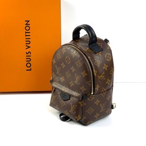 Рюкзак Louis Vuitton Palm Springs