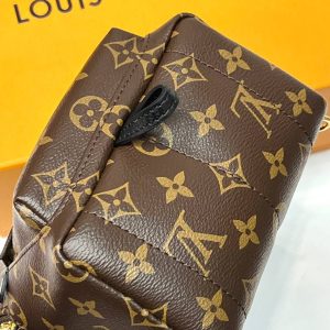 Рюкзак Louis Vuitton Palm Springs