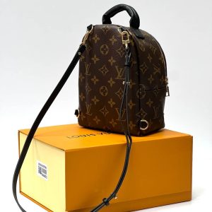 Рюкзак Louis Vuitton Palm Springs