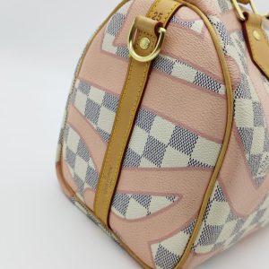 Сумка Louis Vuitton Speedy