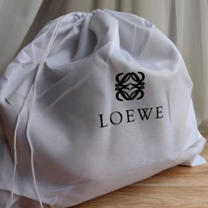 Сумка Loewe Paseo