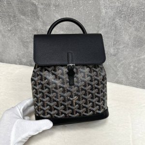 Рюкзак Goyard Alpin Mini Backpack