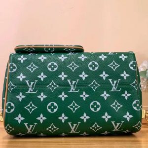 Сумка Louis Vuitton Speedy