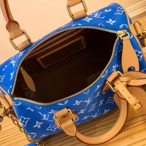 Сумка Louis Vuitton Speedy