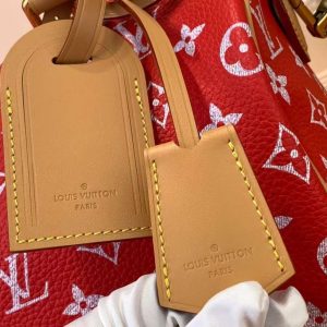 Сумка Louis Vuitton Speedy