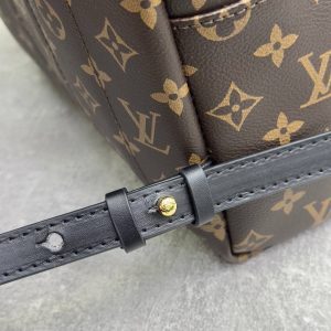 Рюкзак Louis Vuitton Palm Springs