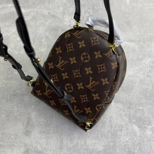 Рюкзак Louis Vuitton Palm Springs