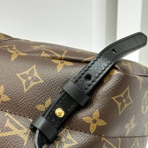 Рюкзак Louis Vuitton Palm Springs