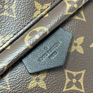 Рюкзак Louis Vuitton Palm Springs